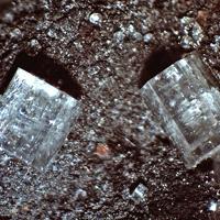 Caracolite