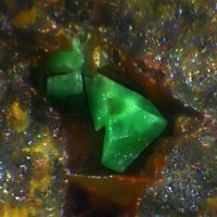 Nantokite, Paratacamite