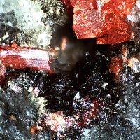 Laffittite, Realgar, Quartz