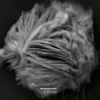 Magadiite, Quartz