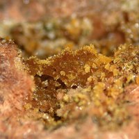 Jahnsite-(CaMnMn), Zodacite, Hureaulite