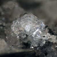 Umbite