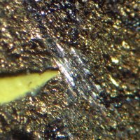 Paolovite, Niggliite, Mooihoekite