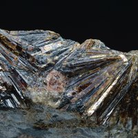 Lamprophyllite
