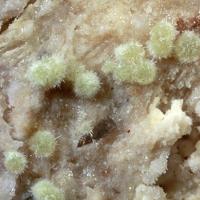 Adranosite-(Fe)