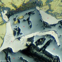 Paolovite, Magnetite, Chalcopyrite