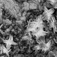 Gartrellite, Plumbogummite, Goethite