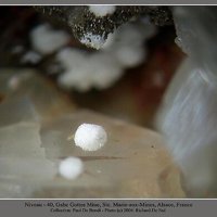 Rauenthalite, Phaunouxite