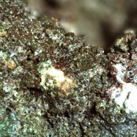 Osarizawaite