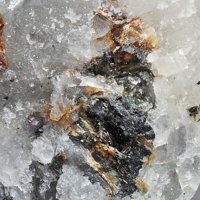 Nalivkinite