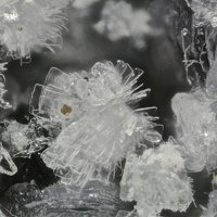 Tamarugite