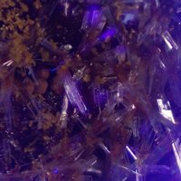 Rabejacite, Gypsum
