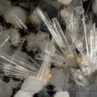 Rapidcreekite
