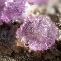 Sainfeldite