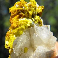 Uranocircite