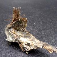 Balangeroite