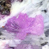 Sainfeldite