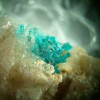 Salesite