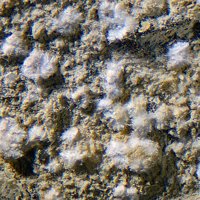 Uralolite