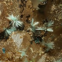 Davidbrownite-(NH4), Antipinite