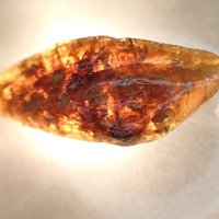 Ikaite