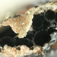 Rankachite