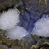 Dachiardite-Ca, Dachiardite-Na, Chalcedony
