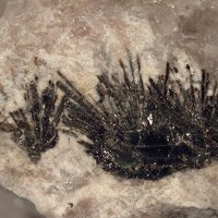 Umbozerite, Ussingite