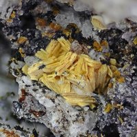 Jahnsite-(CaMnMn)