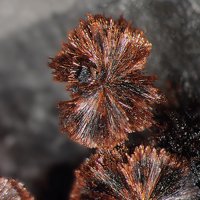 Macfallite, Braunite
