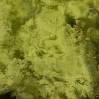 Cadwaladerite