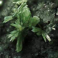 Vajdakite