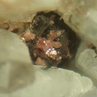 Calcioancylite-(Nd)