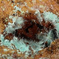 Agardite-(Nd)