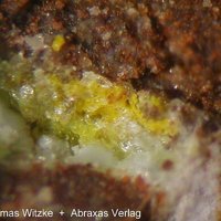 Oswaldpeetersite