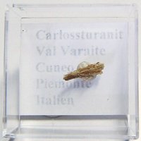 Carlosturanite