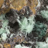 Agardite-(Y), Malachite