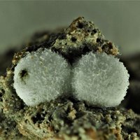 Tacharanite