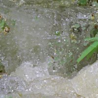 Ulrichite