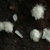 Rauenthalite
