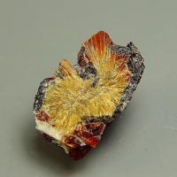 Barytolamprophyllite, Villiaumite