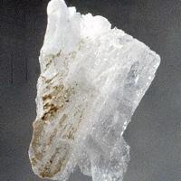 Calciborite