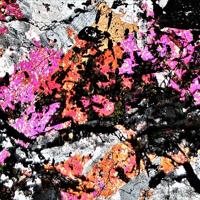Aegirine-augite, Cancrinite, Microcline