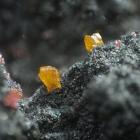 Xanthoconite
