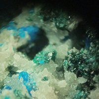 Lammerite