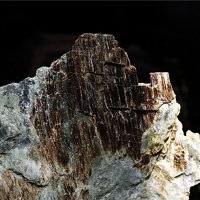 Carlosturanite