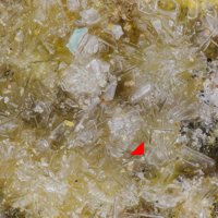 Fabritzite, Tzeferisite