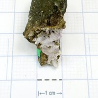 Quartz, Amethyst, Smectite Group