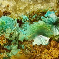 Sabelliite