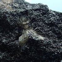 Nacareniobsite-(Ce)